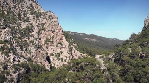 Gigantic rocky mountain peaks with pine tree and spruce forest against clear blue sky