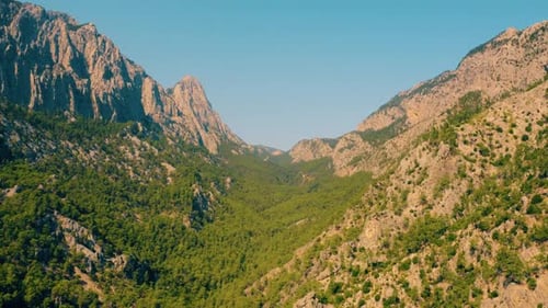 Beautiful Green Trees on Mountains Slopes