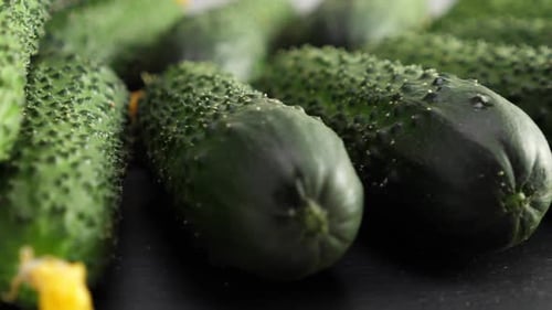 Fresh Cucumbers on Display, Macro Food Footage