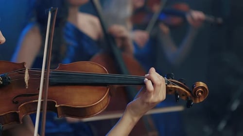 Violinist Plays Violin in Dark Blue Lit Concert