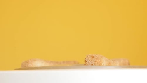 Bread Toasting in a White Toaster