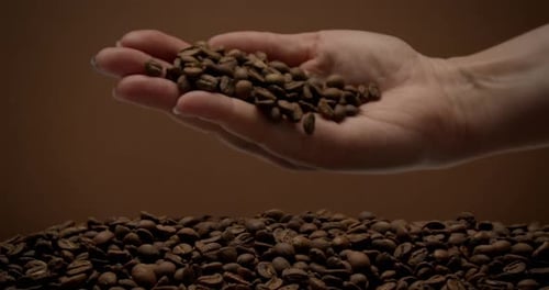 Hand Pours Coffee Beans Over Pile
