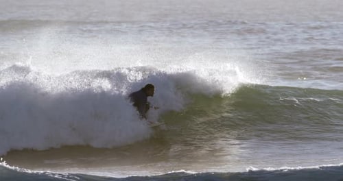 Surfers surfing in sea