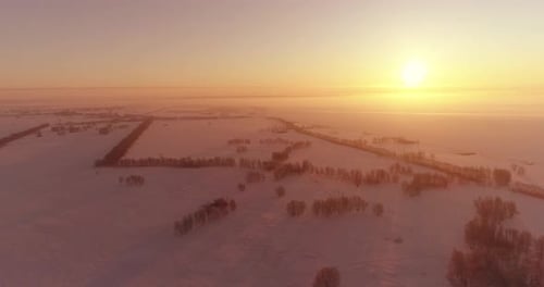 Aerial Drone View of Cold Winter Landscape with Arctic Field, Trees Covered with Frost Snow