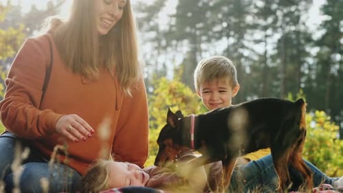 Family and Dog Playing Together in Sunny Park