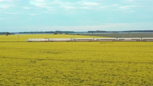 Ein weißer elektrischer Hochgeschwindigkeitszug rast durch ein blühendes Rapsfeld