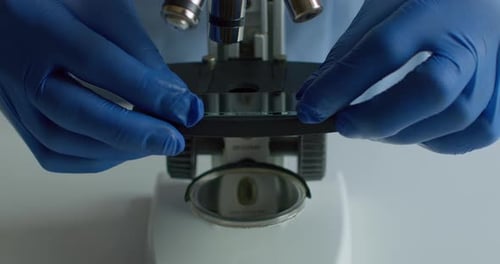 Close-up Shooting. A Lab Worker Is Inserting Microscope Slide and Moving the Lens. Experiments in