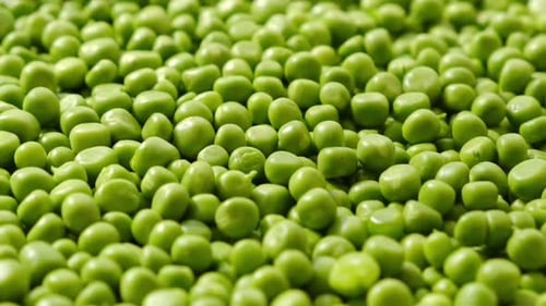 Fresh Green Peas Rotating Close Up