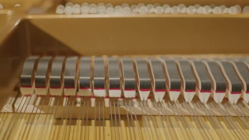 Piano Hammers Striking the Piano Strings