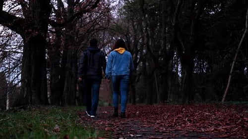 Paar geht im Herbst im Park spazieren