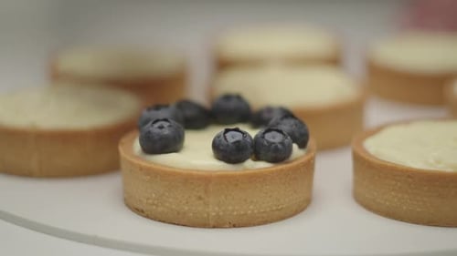 Decorating Tarts with Blueberries in Slow Motion Close Up