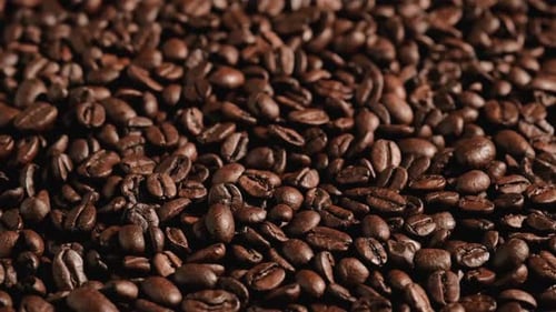 Roasted Coffee Beans Close Up Slow Pan