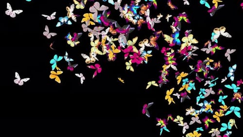 Vibrant Butterfly Swarm Transition Animation