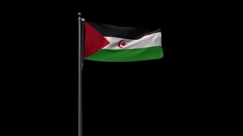 Realistic Western Sahara Flag Waving Animation Loop
