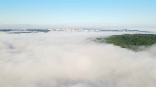 Morning Fabulous Fog That Covers the Mountains. Aerial Top View of Green Trees Covered with Thick