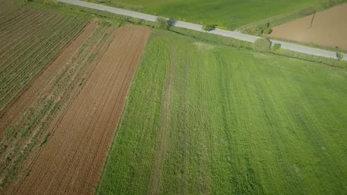Aerial view of grass fields surrounded by vegetation and hills.