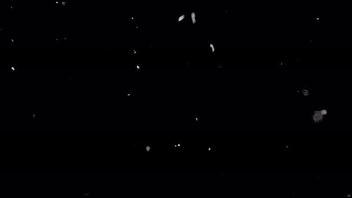 Abstract Black and White Film Grain Texture