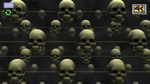 Skull Horizon 4K