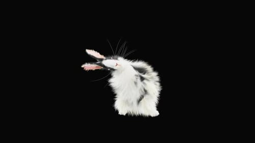 Hase: Tanzen HD