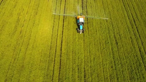Tractor Is Spraying Fertilizers Field
