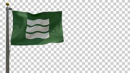 Green Flag Waving with Three Water Waves Symbol