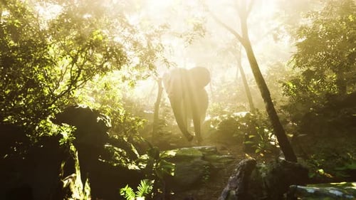 Big Elephant Looking From a Green Jungle to the Camera