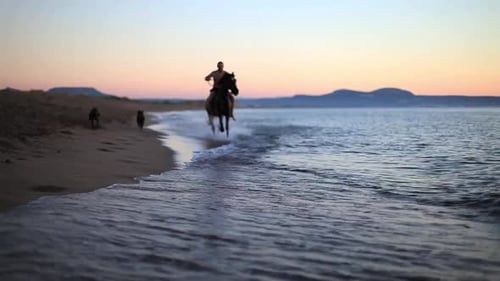 Horse Riding On The Beach