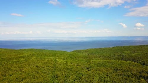 Forest and Sea