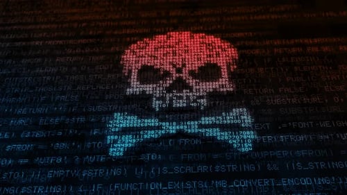 Digital Skull and Crossbones with Cyber Code Animated Background