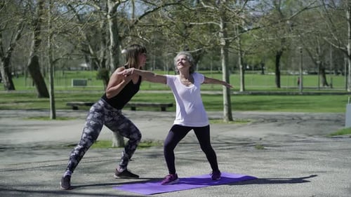 Yoga Teacher Training Client in Park