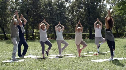 Standing in Tree Pose