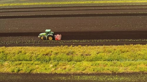 Tractor Cultivates the Land in the Field.