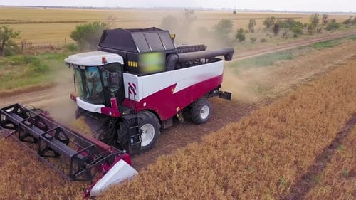 The Harvester Harvests From the Field. Aerial View in (UHD)