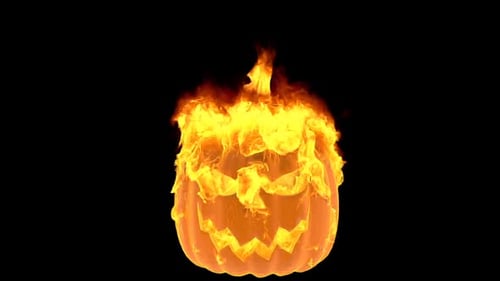 Feuer-Kürbisse