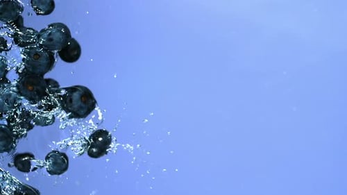 Blueberries in water, Slow Motion