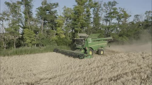 Combine Harvesting Wheat Top View of a Wheatfield