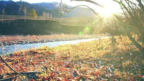 Dolly Slider Shot of the Splashing Water in a Mountain River Near Forest. Wet Rocks and Sun Rays