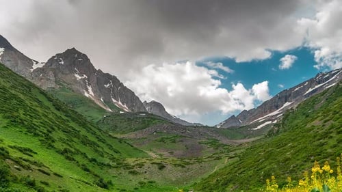 Mountain Green Valley Landscape. Beautiful Mountain Green Valley Panorama. Mountain Meadow Flowers