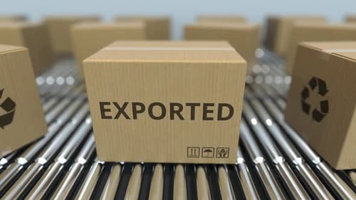 Logistics: Exported Parcels Moving on Conveyor Belt