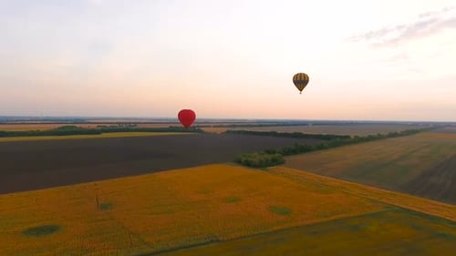 Balloons Soaring Over Rural Landscape at Sunrise