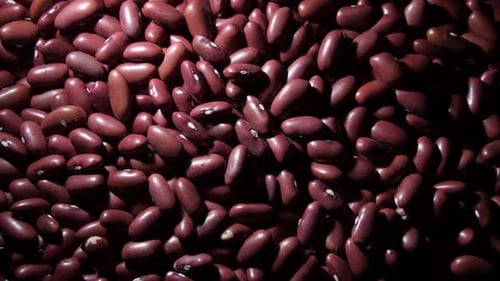 Close up of pile of glossy red kidney beans