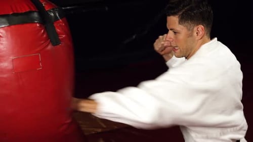 Young Adult Martial Artist Training with Punching Bag