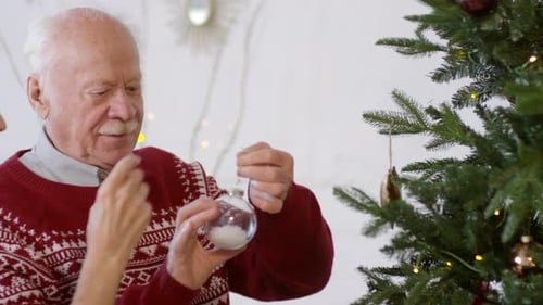 Elderly Couple Decorating Christmas Tree Ornament at Home