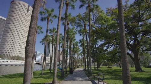 Alley with palm trees in Florida