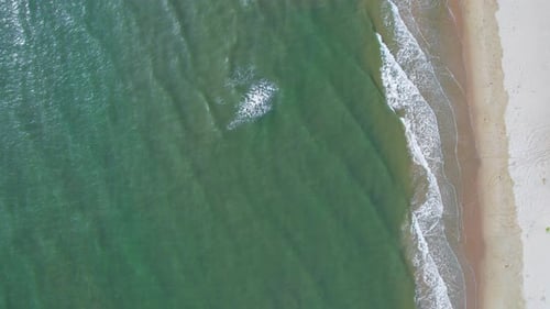 4K Aerial view top view drone move Beautiful topical beach with white sand. Cinematic drone shot.