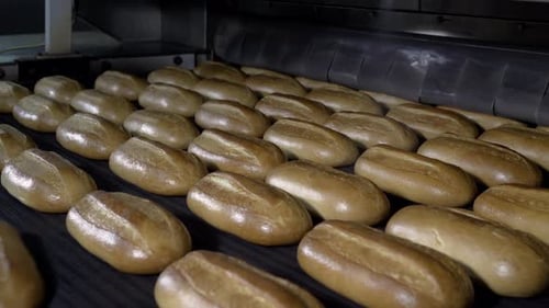 Loaf of Bread on the Production Line in the Bakery. Baked Loaf of Bread in the Bakery, Just Out of