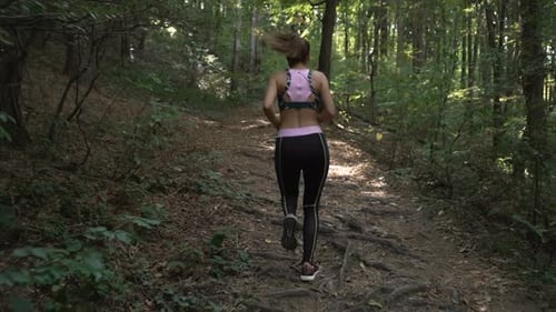 Fitness Brunette Girl with Ponytail and Sports Outfit Jogging in Summer Forest