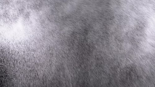 Spraying Fine Water Particles Against Dark Background