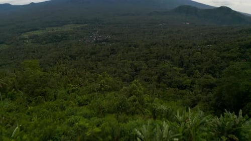 Reveal of Mount Agung in Bali Above Tropical Rainforest