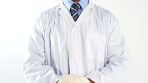 Doctor Holds a Model Brain